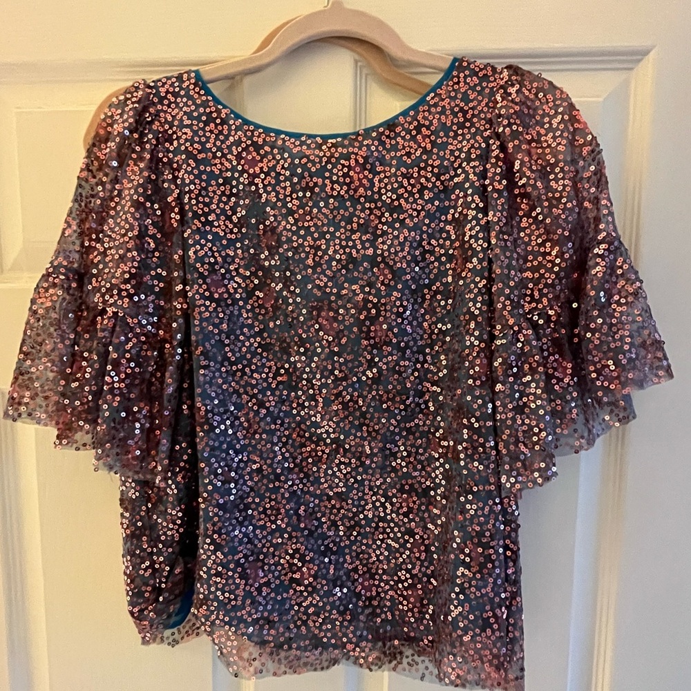 Blue and Pink sequin top